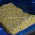 Frozen Sweet Corn Kernel